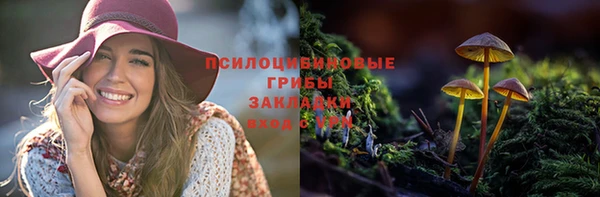 мяу мяу кристалл Иннополис