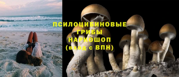 мяу мяу кристалл Иннополис