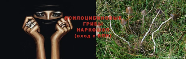 метадон Чегем
