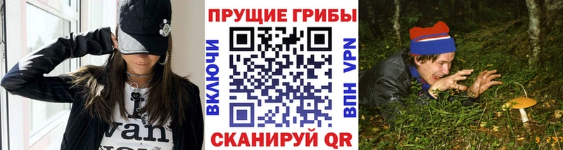 Псилоцибиновые грибы Psilocybine cubensis закладка Зубцов